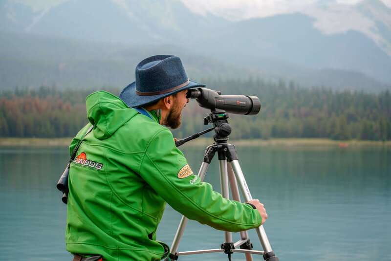 from-jasper-jasper-national-park-wildlife-discovery-tour