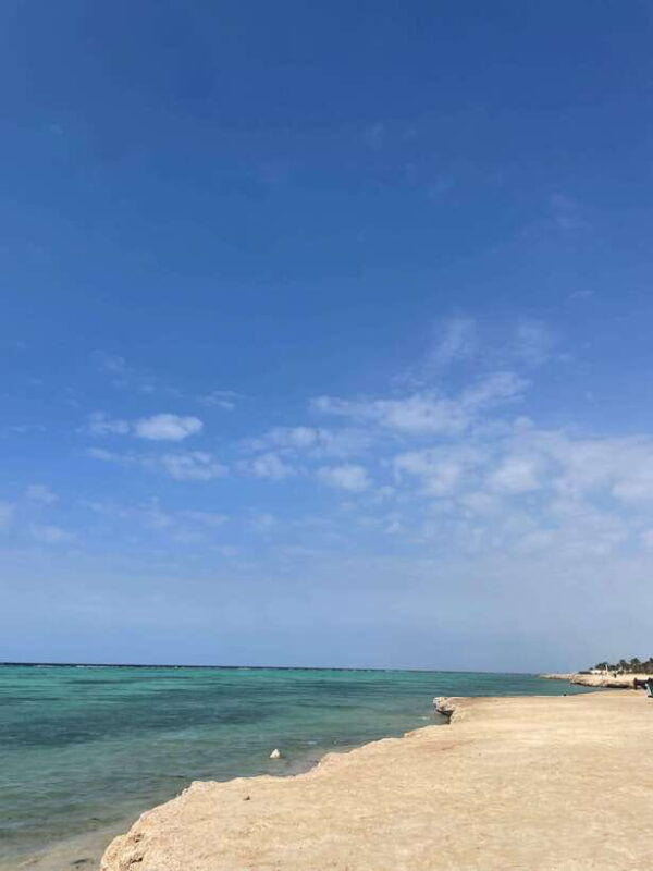 from-jeddah-or-mecca-alula-2-day-private-trip-with-farm
