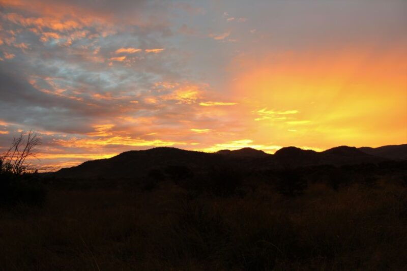 from-johannesburg-pilanesberg-nature-reserve-game-safari