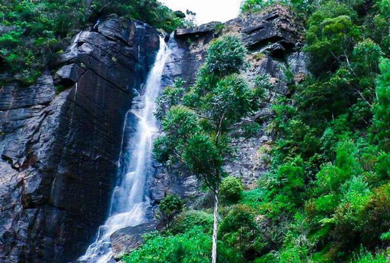 from-kandy-all-inclusive-nuwara-eliya-day-tour-with-lunch