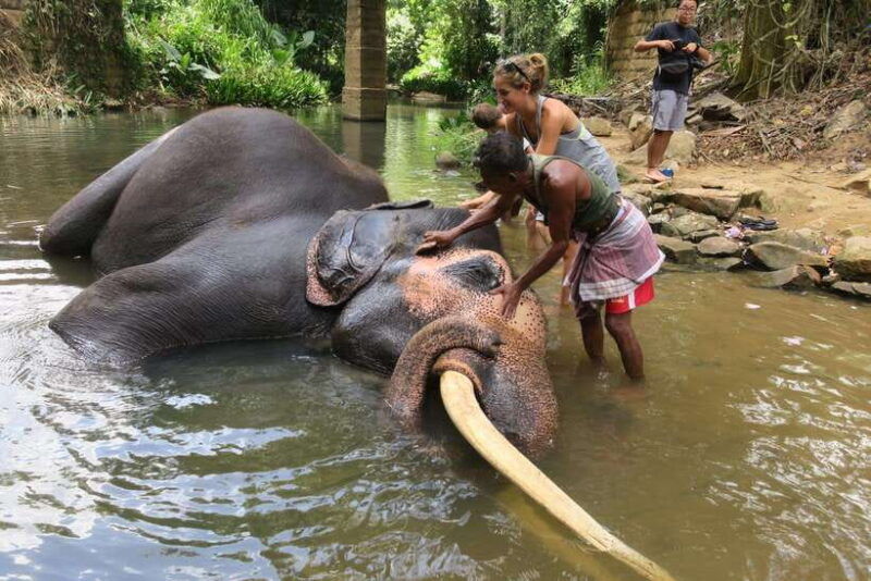 from-kandy-to-pinnawala-private-day-tour-via-ambuluwawa