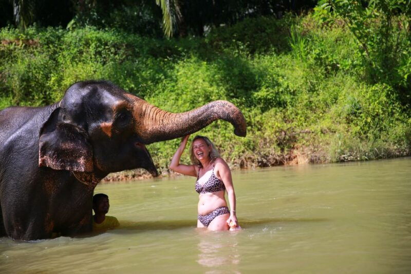 from-khao-lak-day-trip-to-khao-sok-with-elephant-camp-visit