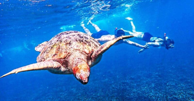 from-khao-lak-surin-islands-snorkeling-tour-w-meals