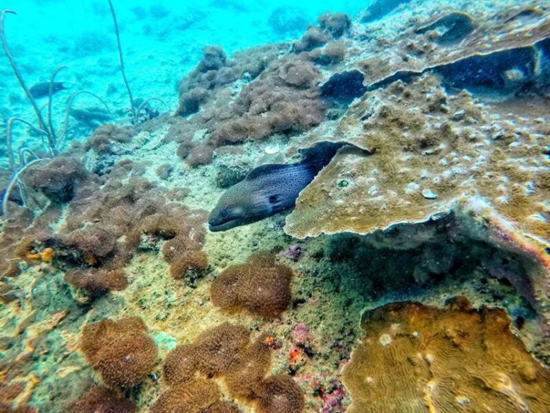 from-ko-lanta-4-islands-snorkeling-tour-by-long-tail-boat