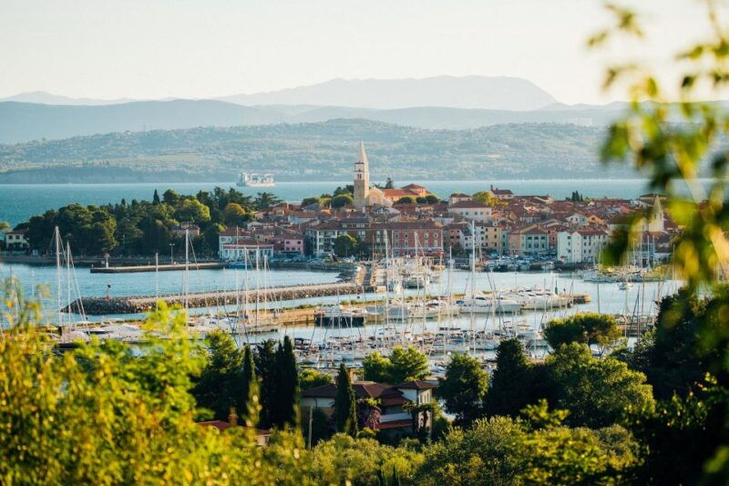 from-koper-slovenian-riviera-bus-tour-with-food-tastings