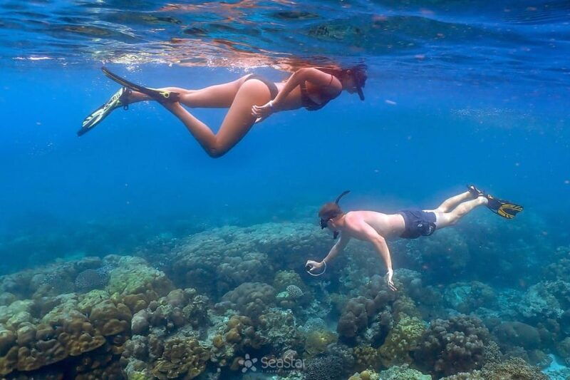 from-krabi-surin-islands-snorkeling-tour-w-meals