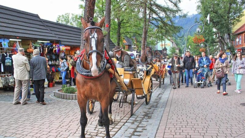 from-krakow-zakopane-private-day-tour-by-luxurious-suv