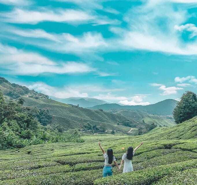 from-kuala-lumpur-cameron-highlands-day-trip-with-transfers