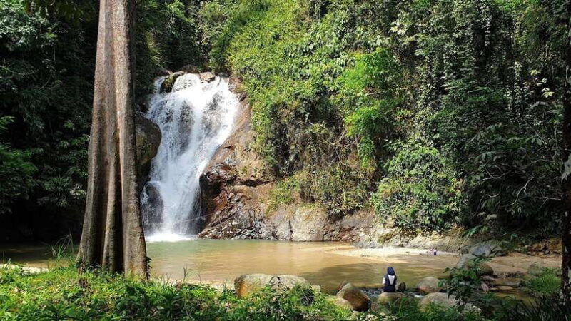 from-kuala-lumpur-elephant-sanctuary-guided-tour