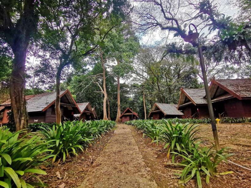 from-kuala-lumpur-full-day-tour-to-taman-negara