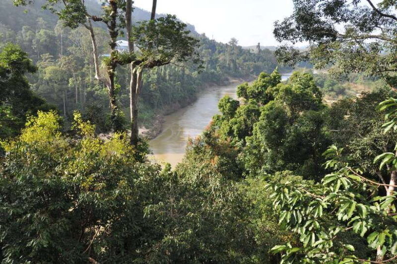 from-kuala-lumpur-taman-negara-national-park-trek-day-tour
