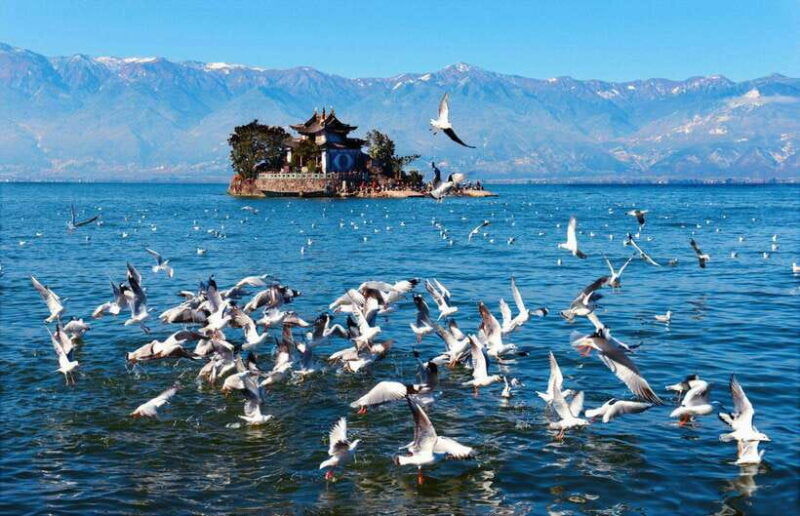 from-kunming-9-day-yunnan-highlights-tour-with-bullet-train