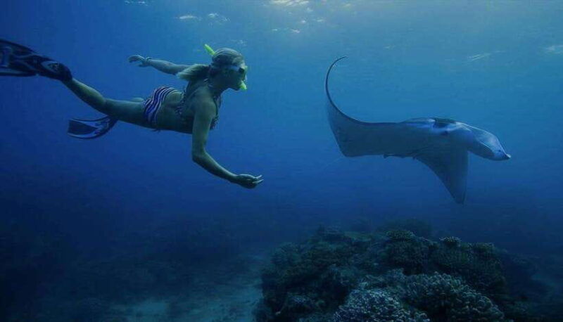 from-lembongan-nusa-penida-private-snorkeling-west-tour