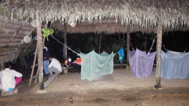 from-leticia-3-days-2-nights-rainforest-trek-and-boat-trip