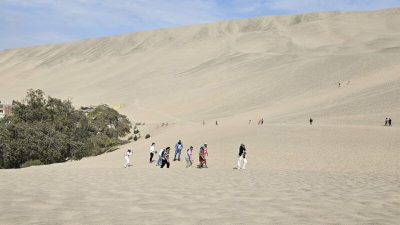 from-lima-ballestas-vineyard-and-oasis-huacachina-economic