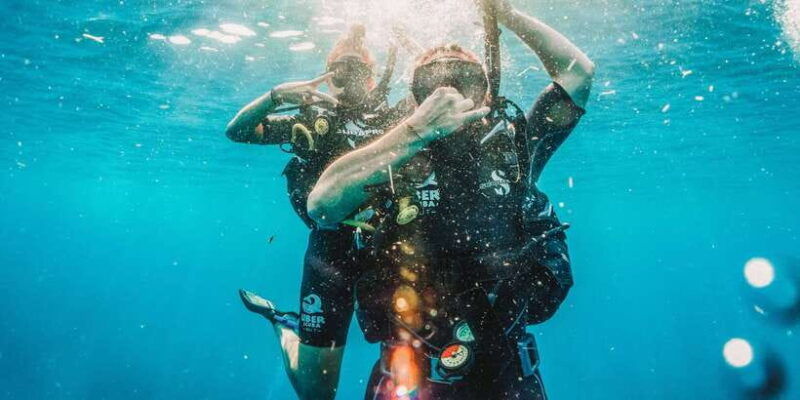 from-lombok-private-gili-islands-trip-w-glass-bottom-boat