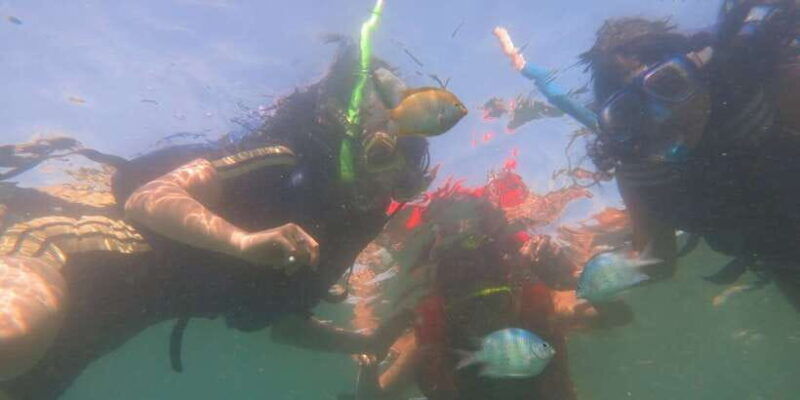 from-lombok-southern-gilis-private-snorkelling-day-trip