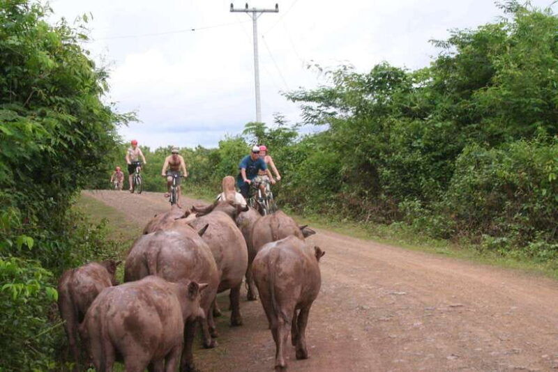 from-luang-prabang-guided-mountain-bike-tour-with-lunch