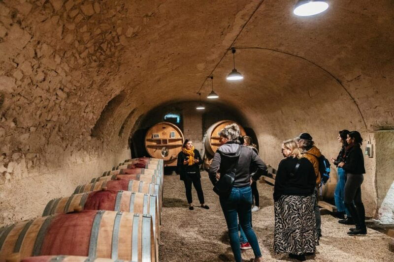 from-lyon-beaujolais-region-wine-tour-with-tastings