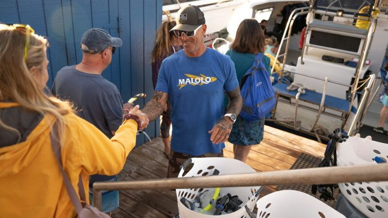 from-maalaea-afternoon-whale-watch-tour-aboard-the-malolo