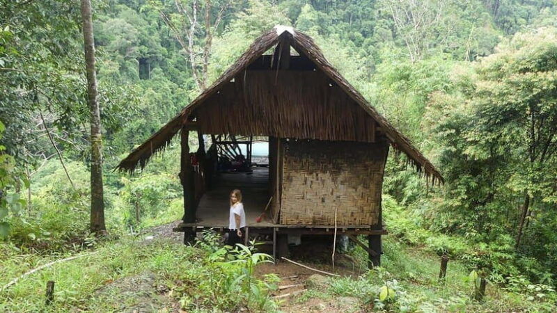 from-medan-bukit-lawang-orangutan-tour-mt-leuser
