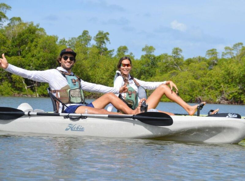 from-naples-fl-marco-island-mangroves-kayak-or-paddle-tour