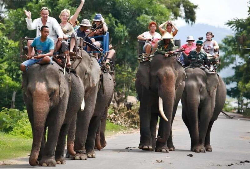 from-nha-trang-1-day-dalat-tour-2