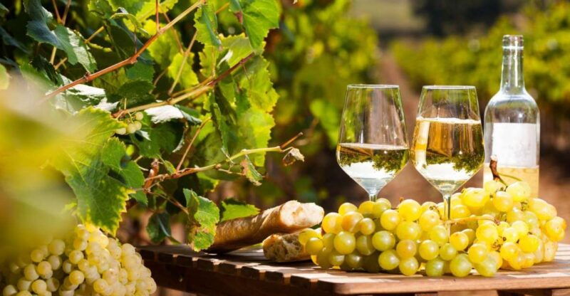 from-nice-antibes-st-paul-de-vence-tour-with-wine-tasting