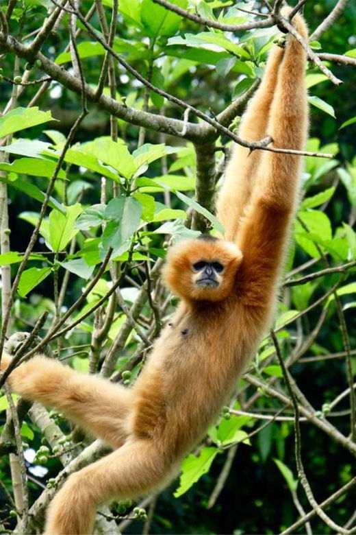 from-ninh-binh-cuc-phuong-national-park-guided-tour-lunch