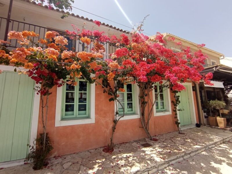 from-nydri-boat-to-kefalonia-and-ithaki-with-swim-stops