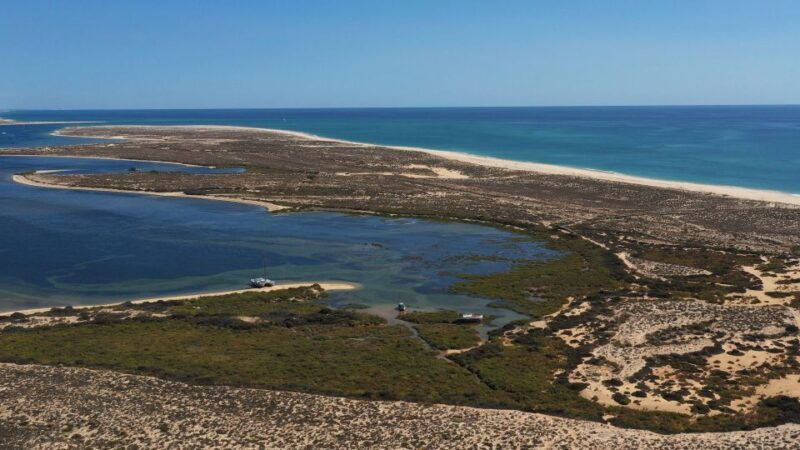 from-olhao-ria-formosa-3-island-full-day-tour