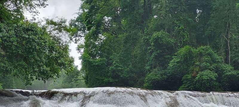 from-palenque-palenque-and-roberto-barrios-waterfalls-tour