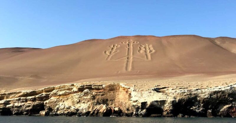 from-paracas-ballestas-island-cruise-paracas-reserve-tour