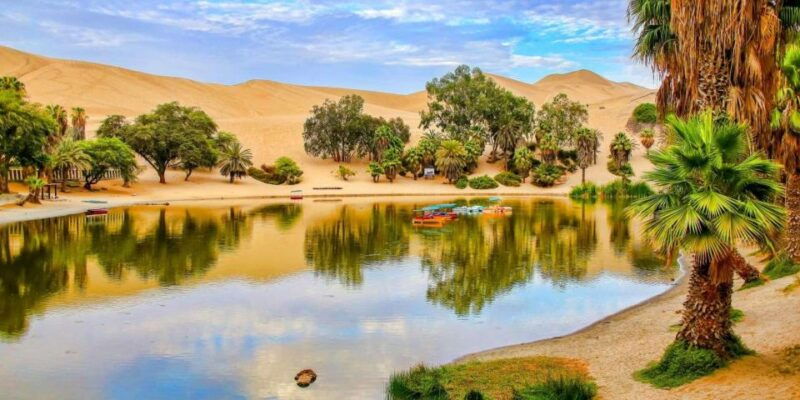 from-paracas-excursion-to-ica-and-huacachina