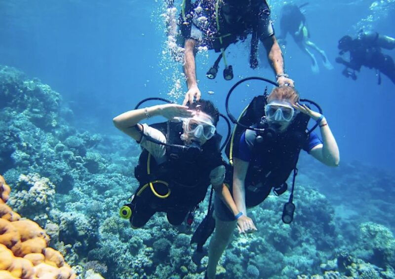 from-pattaya-snorkeling-or-beginner-scuba-diving-tour