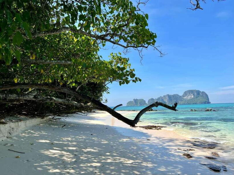 from-phi-phi-full-day-7-island-tour-by-longtail-with-sunset-2