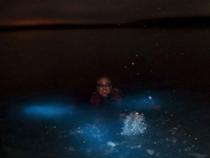 from-phi-phi-sunset-bioluminescent-plankton-snorkel-tour