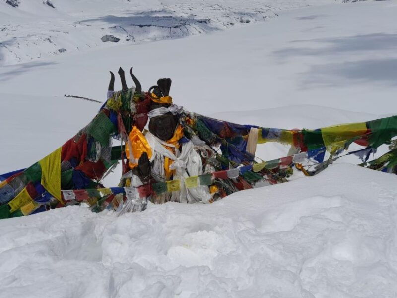 from-pokhara-7-days-annapurna-basecamp-trek