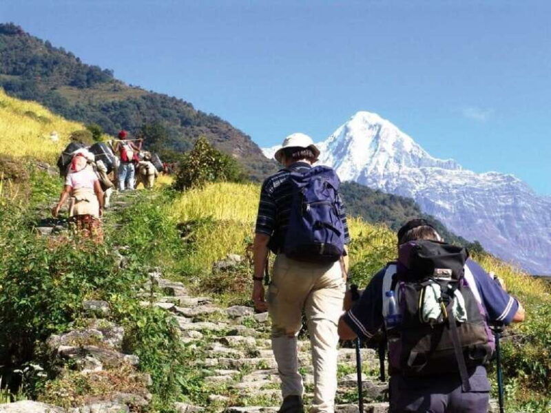 from-pokhara-scenic-annapurna-day-hike-with-panoramic-views