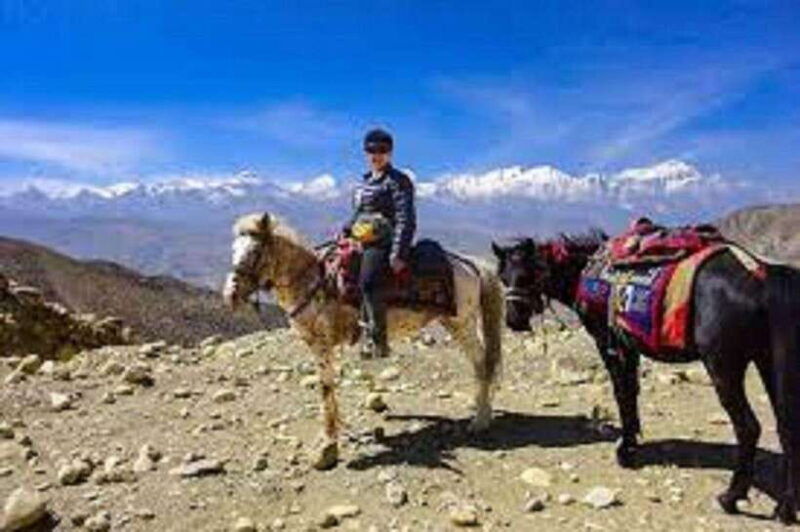 from-pokhara-unforgettable-horseback-riding-adventure