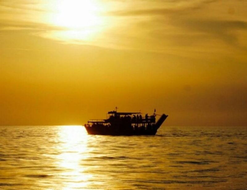 from-porec-evening-dolphin-cruise-with-welcome-drink