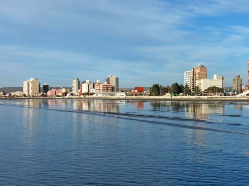 from-puerto-madryn-city-and-punta-loma-tour