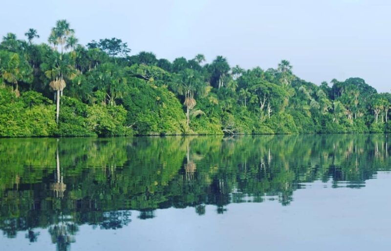 from-puerto-maldonado-4-day-excursion-wildlifesearch-2