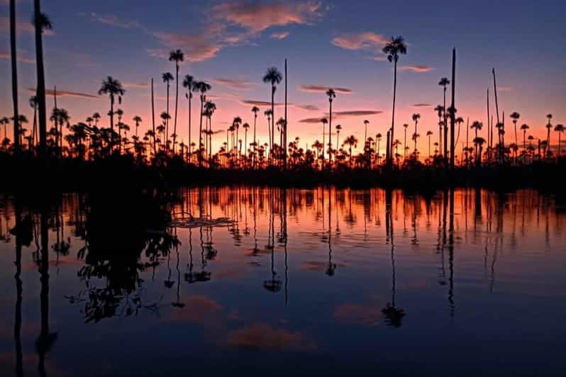 from-puerto-maldonado-sunset-boat-ride-for-3-hours-2