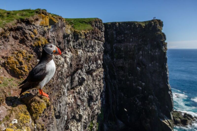 from-reykjavik-3-day-tour-of-the-wild-westfjords
