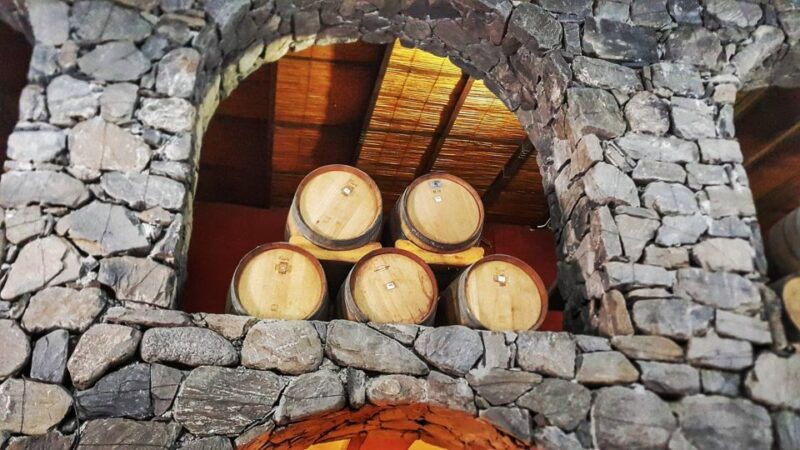 from-salta-cafayate-day-trip-with-wine-tasting