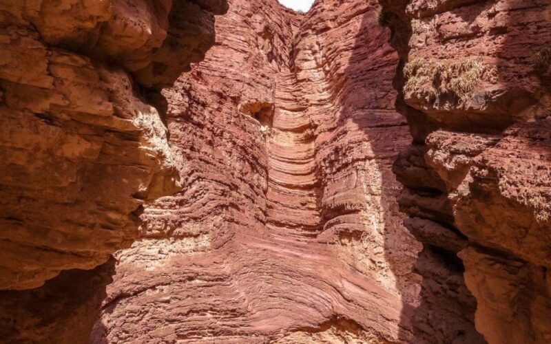 from-salta-cafayate-land-of-wines-and-imposing-ravines