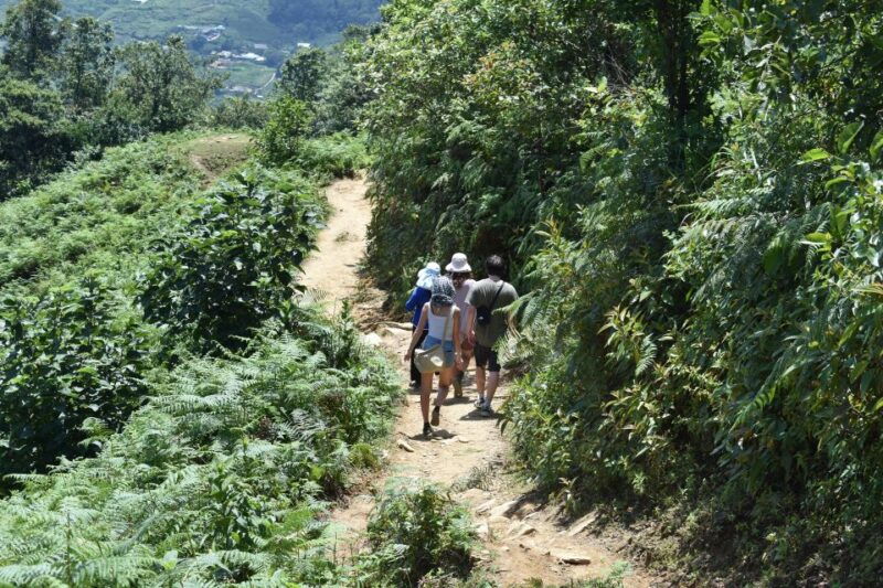 from-sapa-muong-hoa-valley-view-village-trek-1-day