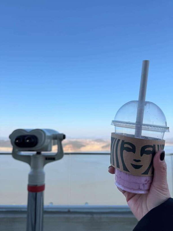 from-seoul-aegibong-starbucks-observatory-dmz-view