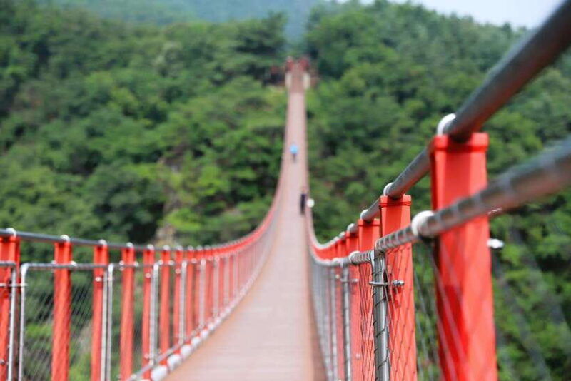 from-seoul-dmz-japanese-tour-optional-suspension-bridge
